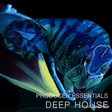 SPF Samplers Producer Essentials Deep House [WAV, MiDi, Synth Presets] - Sample Pack Artwork