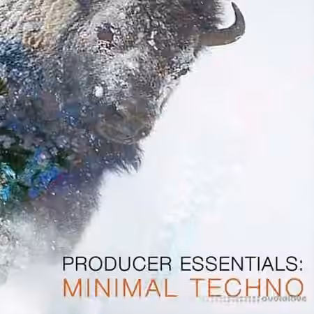 SPF Samplers Producer Essentials Minimal Techno [WAV, MiDi, Synth Presets] - Sample Pack Artwork