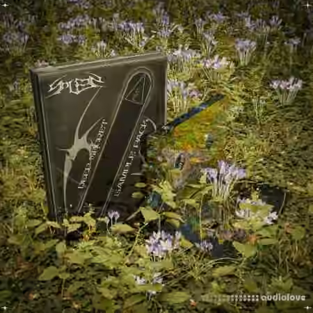 SPLEEN Deep Secret Sample Pack [WAV, MiDi, Synth Presets] - Sample Pack Artwork