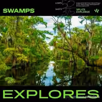 Splice Explores Swamps [WAV]