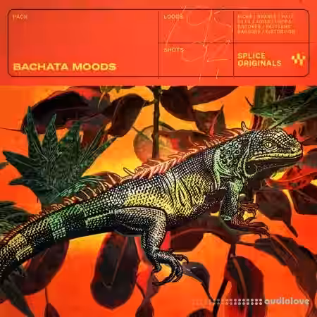 Splice Originals Bachata Moods [WAV] - Sample Pack Artwork