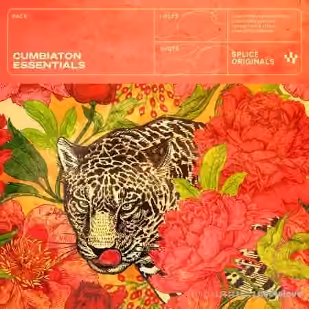 Splice Originals Cumbiaton Essentials [WAV] - Sample Pack Artwork