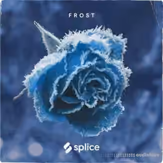 Splice Originals Frost February RnB [WAV]