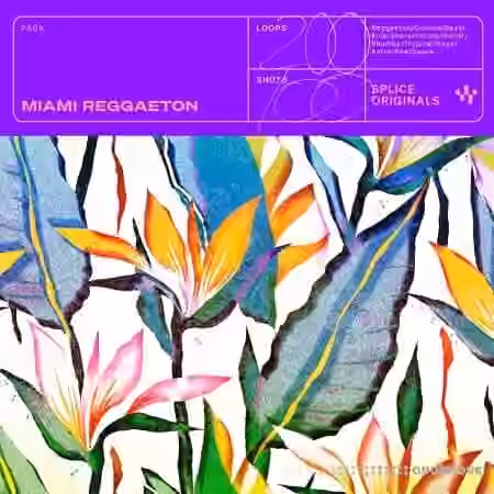 Splice Originals Miami Reggaeton [WAV] - Sample Pack Artwork