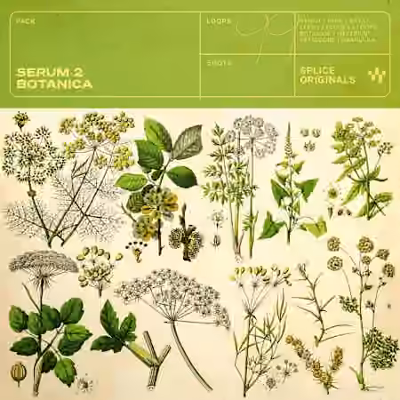 Splice Originals Serum 2 Botanica [WAV, Synth Presets]