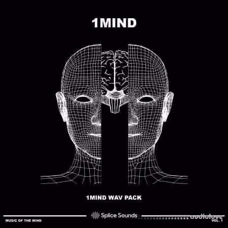 Splice Sounds 1Mind Wav Pack [WAV] - Sample Pack Artwork