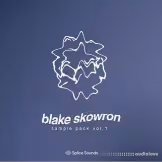Splice Sounds Blake Skowron Sample Pack [WAV]