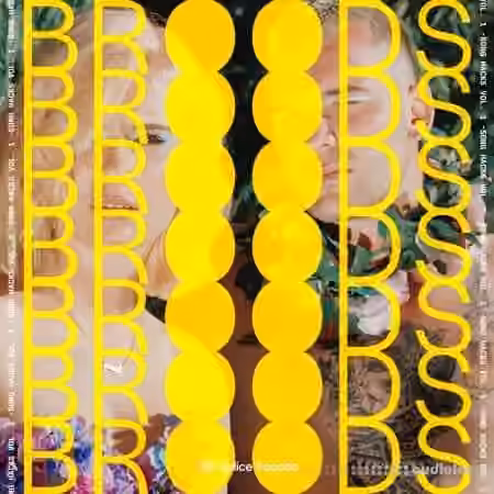 Splice Sounds Broods Song Hacks Vol.1 [WAV] - Sample Pack Artwork