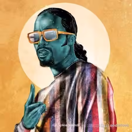 Splice Sounds D─üM-FunK: Modern-Funk Sample Pack [WAV, Synth Presets] - Sample Pack Artwork