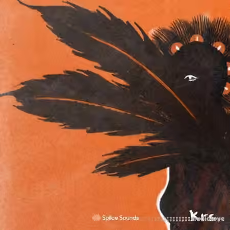Splice Sounds krs. Build a Vybz Drum Kit Vol.2 [WAV, MiDi] - Sample Pack Artwork