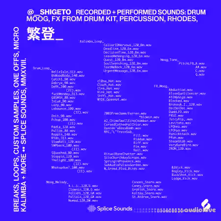 Splice Sounds Shigeto Sample Pack [WAV] - Sample Pack Artwork