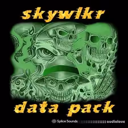 Splice Sounds skywlkr data pack [WAV] - Sample Pack Artwork