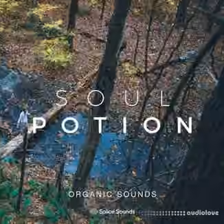 Splice Sounds Soul Potion Organic Sounds [WAV]