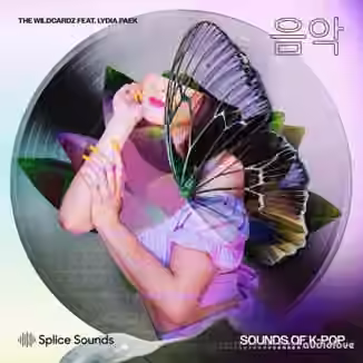 Splice Sounds Wildcardz Feat. Lydia Paek Sounds of K-Pop [WAV]