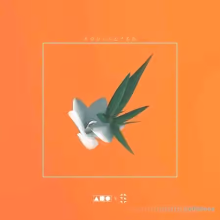 Squadpack x Samplified Soulected [WAV, MiDi] - Sample Pack Artwork