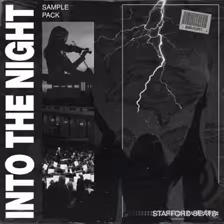 Stafford Beats Into The Night [WAV] - Sample Pack Artwork