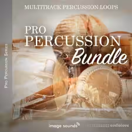 Steinberg Pro Percussion Bundle [VSTSOUND] - Sample Pack Artwork