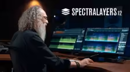 Steinberg SpectraLayers 12 Models v12.0.20 - Sample Pack Artwork