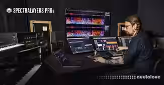 Steinberg SpectraLayers Pro v8.0.20 [WiN]