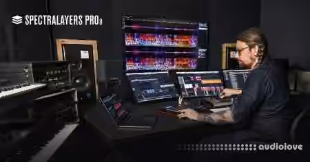 Steinberg SpectraLayers Pro v8.0.20 [WiN] - Sample Pack Artwork