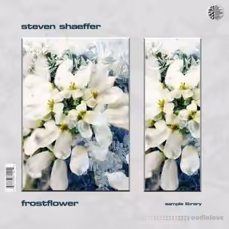 Steven Shaeffer Frostflower Sample Library [WAV] - Sample Pack Artwork