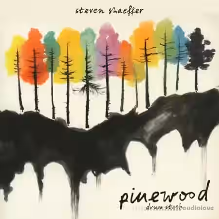 Steven Shaeffer Pinewood Drum Stash [WAV] - Sample Pack Artwork