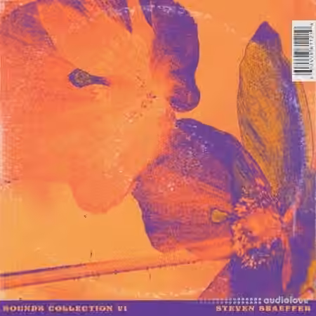 Steven Shaeffer Sound Collection Vol.1 [WAV] - Sample Pack Artwork