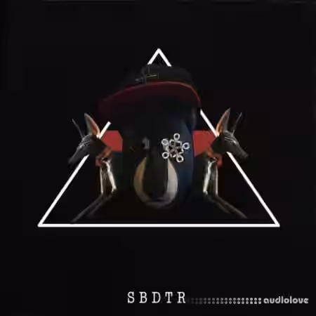 Strangesol Music Strange Beautiful Dark Twisted Reality [WAV] - Sample Pack Artwork