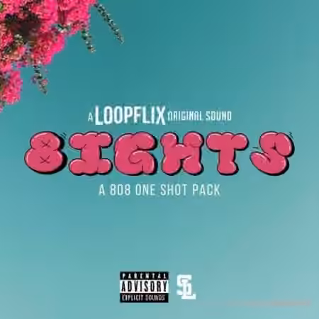 Stve Lawrence 8ights (One-shot pack) [WAV] - Sample Pack Artwork
