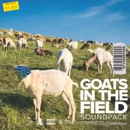Stve Lawrence Goats In The Field [WAV] - Sample Pack Artwork