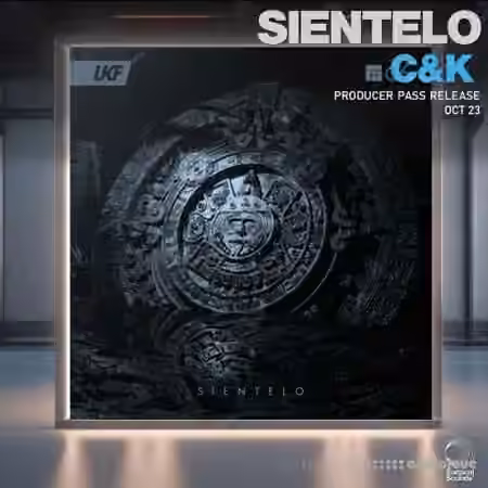 Surgical Sounds Sientelo Recreation Kit [WAV, MiDi, Synth Presets] - Sample Pack Artwork