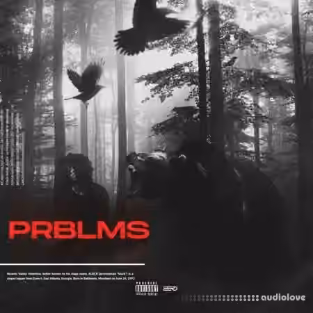 Sxbersounds PRBLMS Multi Kit [WAV, MiDi] - Sample Pack Artwork
