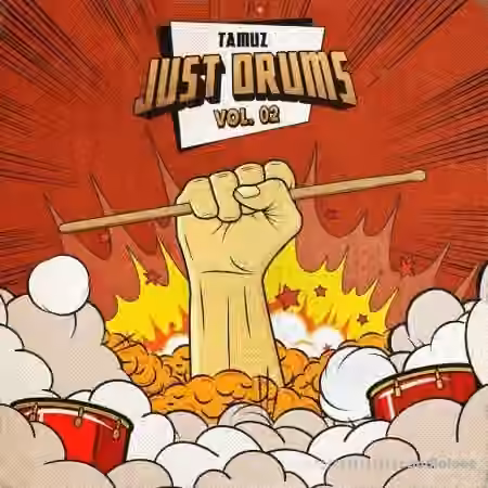 Tamuz Just Drums Vol.2 [WAV] - Sample Pack Artwork