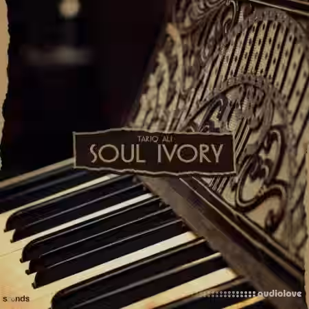 Tariq Ali Soul Ivory [WAV] - Sample Pack Artwork