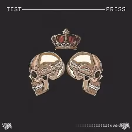 Test Press Jackin Bass House [WAV, Synth Presets] - Sample Pack Artwork