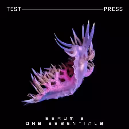 Test Press Serum 2 DnB Essentials [Synth Presets] - Sample Pack Artwork