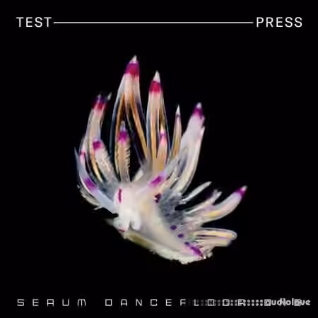 Test Press Serum Dancefloor DnB [WAV, MiDi, Synth Presets] - Sample Pack Artwork
