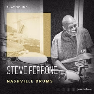 That Sound Steve Ferrone Nashville Drums [WAV]