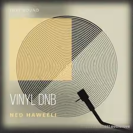 That Sound Vinyl DnB [WAV] - Sample Pack Artwork