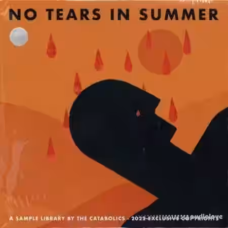 The Catabolics No Tears In Summer ( Compositions ) [WAV] - Sample Pack Artwork
