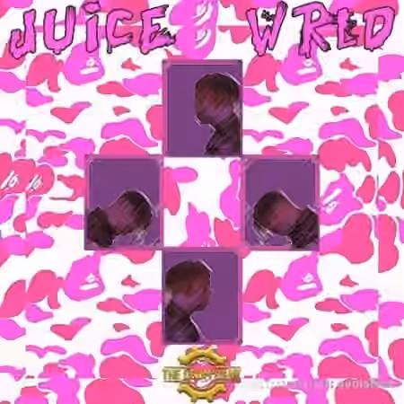 The Drum Bank Juice Wrld [WAV, MiDi] - Sample Pack Artwork