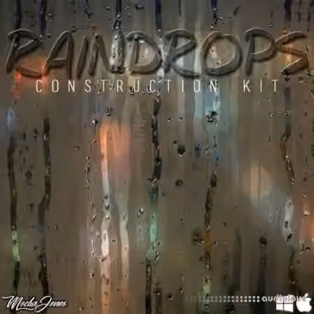 The Drum Bank Raindrops [WAV, MiDi] - Sample Pack Artwork