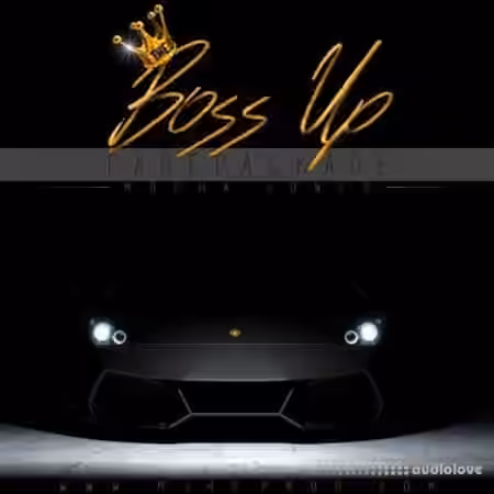 The Drum Bank The Boss Up Care Package [WAV, MiDi, Synth Presets] - Sample Pack Artwork