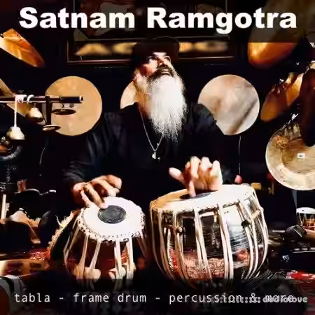 The Loop Loft Satnam Ramgotra Vol.1 [WAV] - Sample Pack Artwork