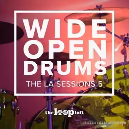 The Loop Loft Wide Open Drums Brush Boom [WAV] - Sample Pack Artwork