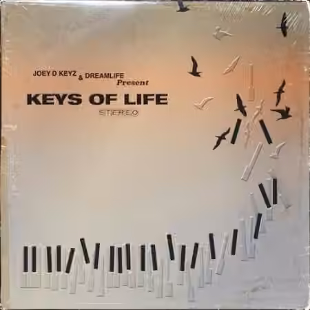 The Sample Lab Keys of Life (Compositions) [WAV]