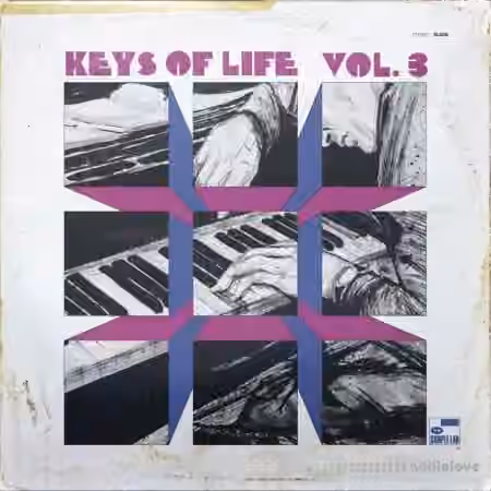 The Sample Lab Keys Of Life Volume 3 (Compositions) [WAV] - Sample Pack Artwork