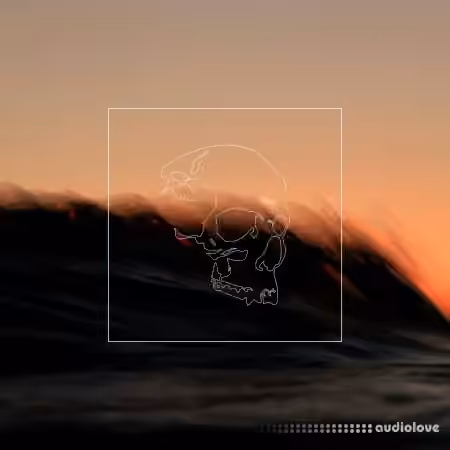 The vowl. Sample Pack 1 [WAV] - Sample Pack Artwork