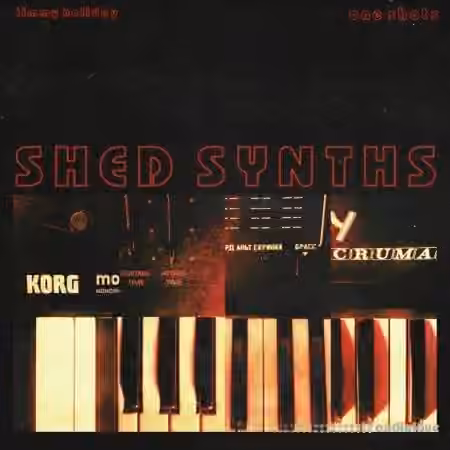 Timmy Holiday SHED SYNTHS (One Shot Kit) [WAV] - Sample Pack Artwork
