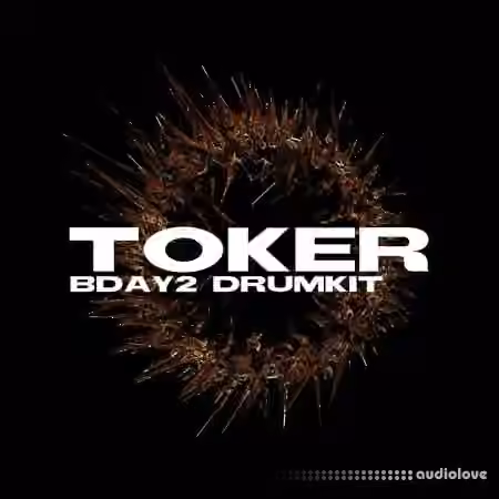 Toker Birthday Drum Kit Vol.2 [WAV, MiDi] - Sample Pack Artwork